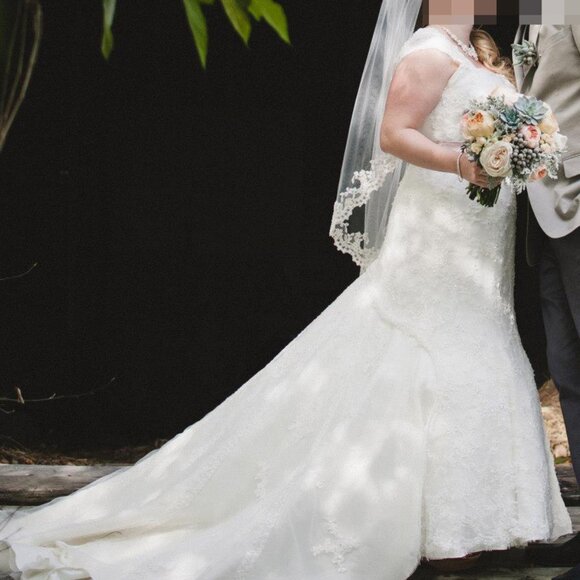 Ivory Lace Keyhole-back Wedding Dress w/ Optional Blush Sash (Demetrios Sz 16) - Picture 3 of 14